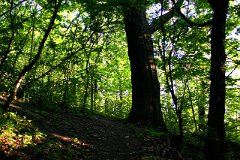photo 0097